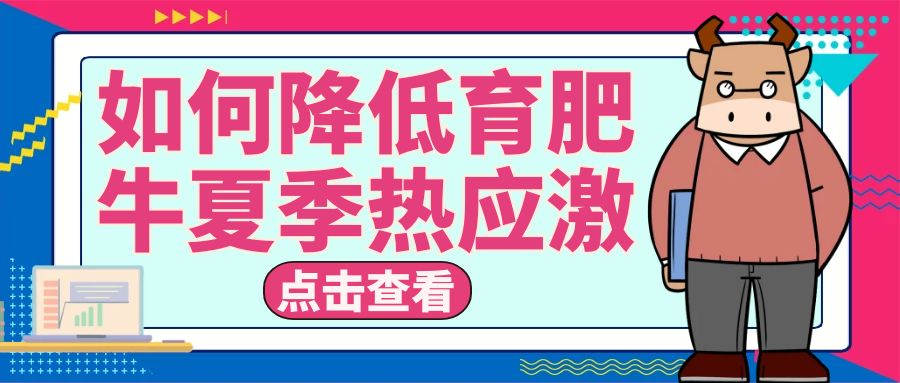 从管理和营养上教会你如何应对育肥牛夏季热应激