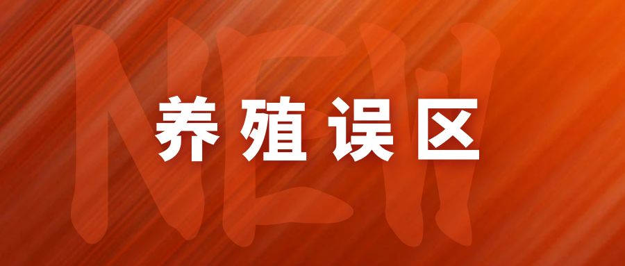 农村养牛四大常见误区，养牛户必看！